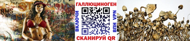 сколько стоит  omg рабочий сайт  Псилоцибиновые грибы MAGIC MUSHROOMS  Руза 