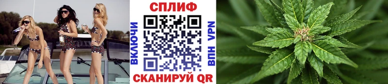 где купить наркоту  Руза  Конопля семена 